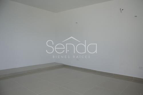 2019-09-11_00_02_27_17WE-06_PALMAR IV_21.jpg